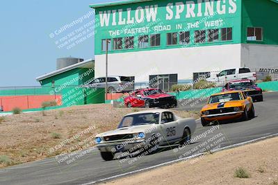 media/May-07-2022-Cobra Owners Club of America (Sat) [[e681d2ddb7]]/Blue/Session 1 (Turn 4)/